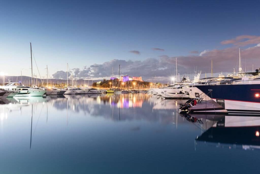 Appartamento Coquet 2 pièces coeur Vieil Antibes Esterno foto